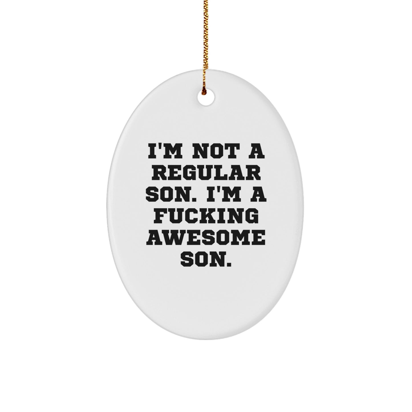 Funny Son Gifts, Oval Ornament, I'm Not A Regular Son, Perfect for Christmas Unique Gifts from Dad, Mom, Family, Friends - Image 1
