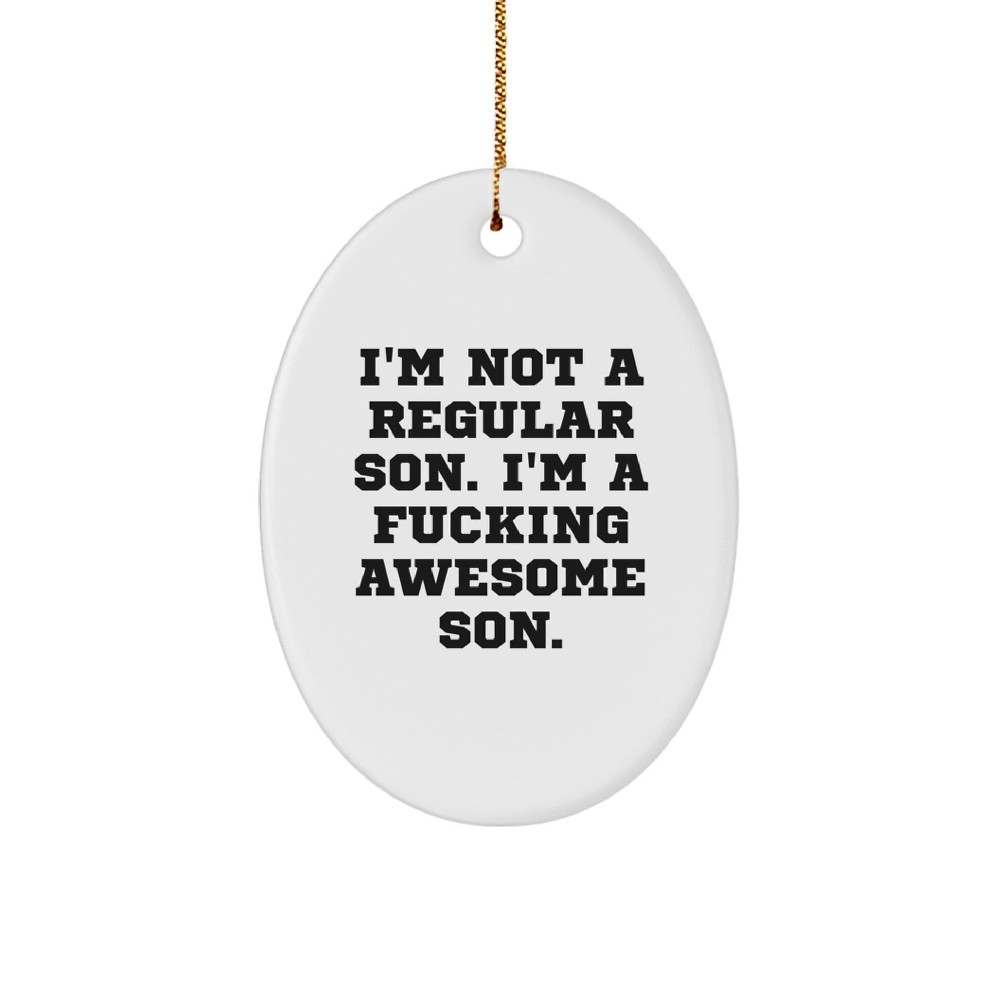Funny Son Gifts, Oval Ornament, I'm Not A Regular Son, Perfect for Christmas Unique Gifts from Dad, Mom, Family, Friends - Image 1