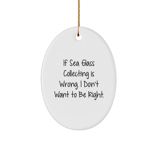 Funny Sea Glass Collecting Oval Ornament Gifts from Family for Christmas Unique Decoration - Image 1