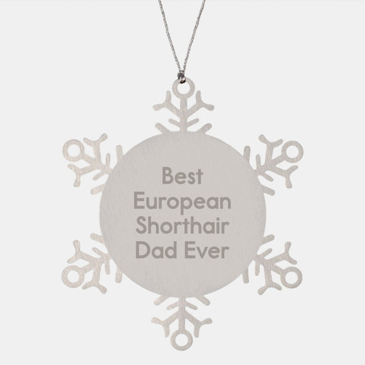 Funny European Shorthair Cat Gifts for Christmas - Best Dad Ever Snowflake Ornament from Friends - Image 1