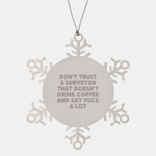 Sarcastic Surveyor Gifts - Funny Ornaments for Christmas Unique Gifts from Surveyor Enthusiast, Snowflake Ornaments for Men, Women, Friends, Family - Image 1