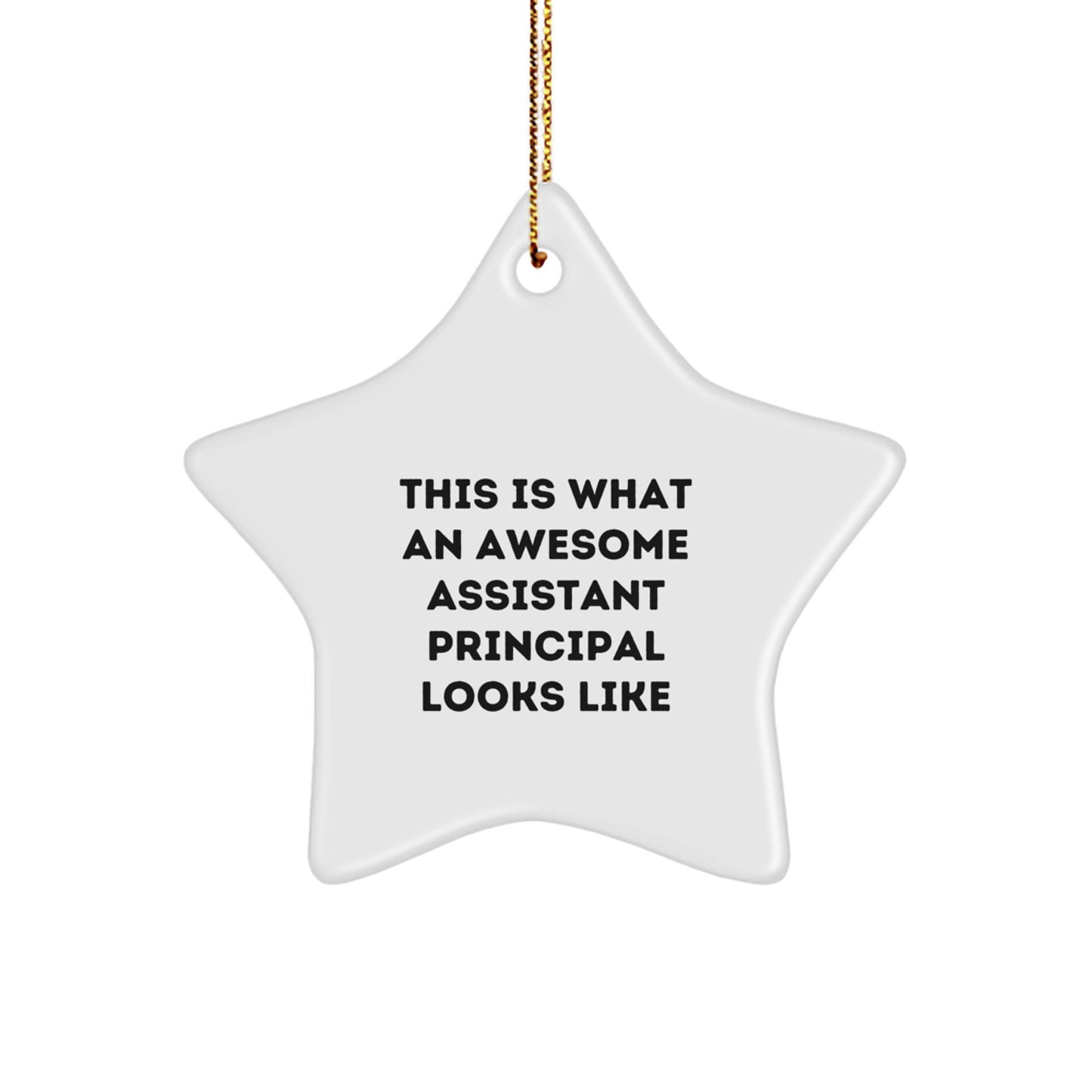 Funny Assistant Principal Gifts for Men Star Ornament, This Is What An Awesome Assistant Principal Looks Like Christmas Unique Gifts from Men to Assistant Principals - Image 1