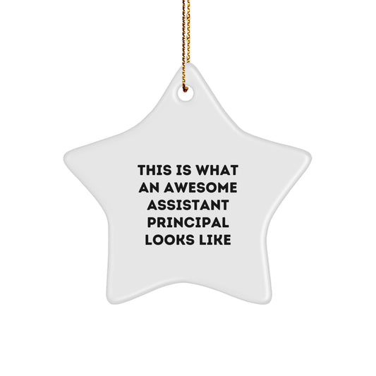 Funny Assistant Principal Gifts for Men Star Ornament, This Is What An Awesome Assistant Principal Looks Like Christmas Unique Gifts from Men to Assistant Principals - Image 1