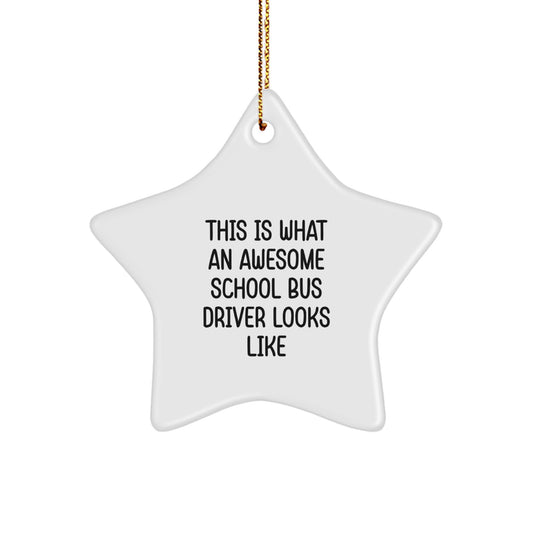 Funny School Bus Driver Gifts from Friends for Men Women Christmas Unique Star Ornament - Image 1
