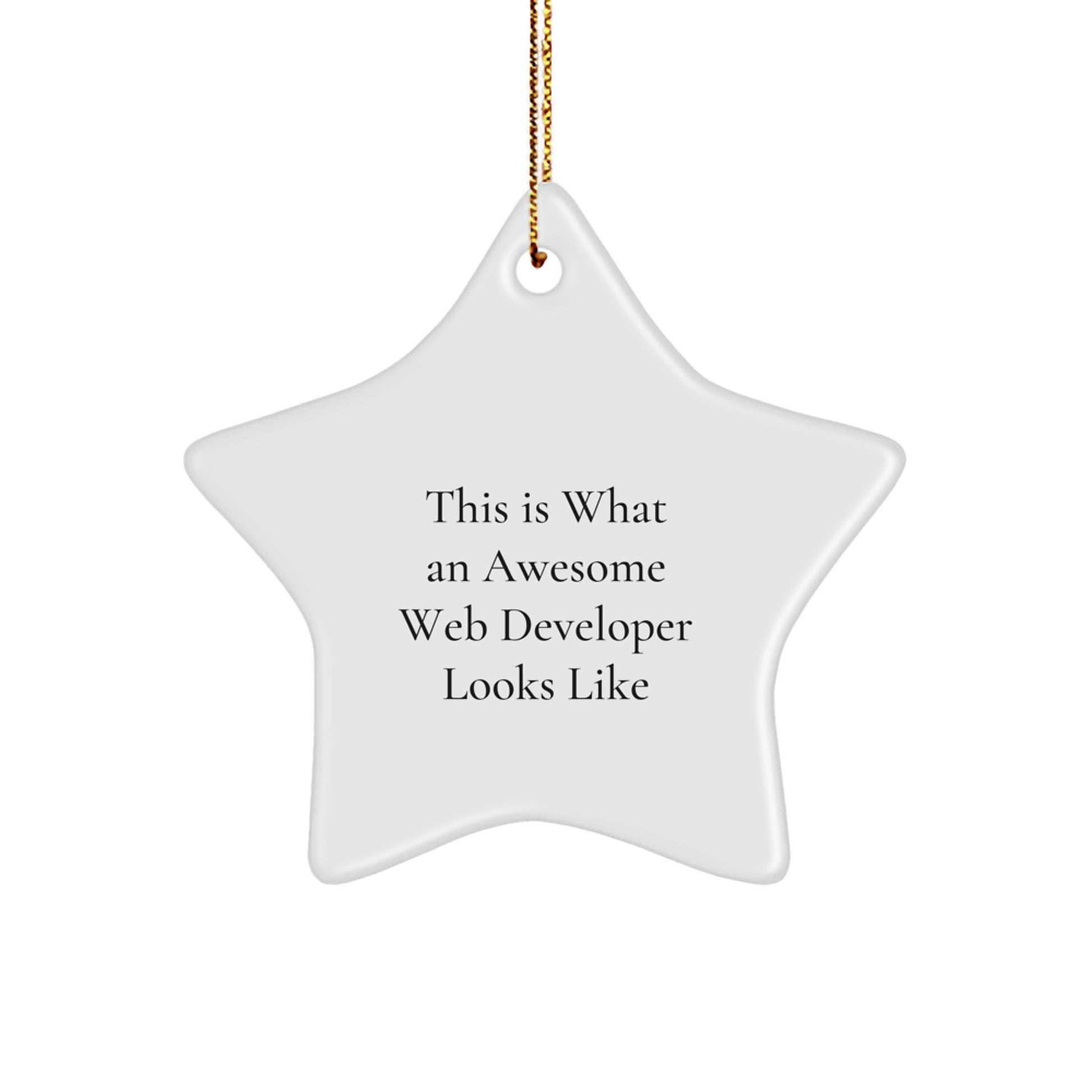 Funny Web Developer Gifts, Christmas Unique Star Ornaments for Web Developers, Gifts from Friends to Web Developer, This 'Is What An Awesome Web Developer Looks Like' Star - Image 1