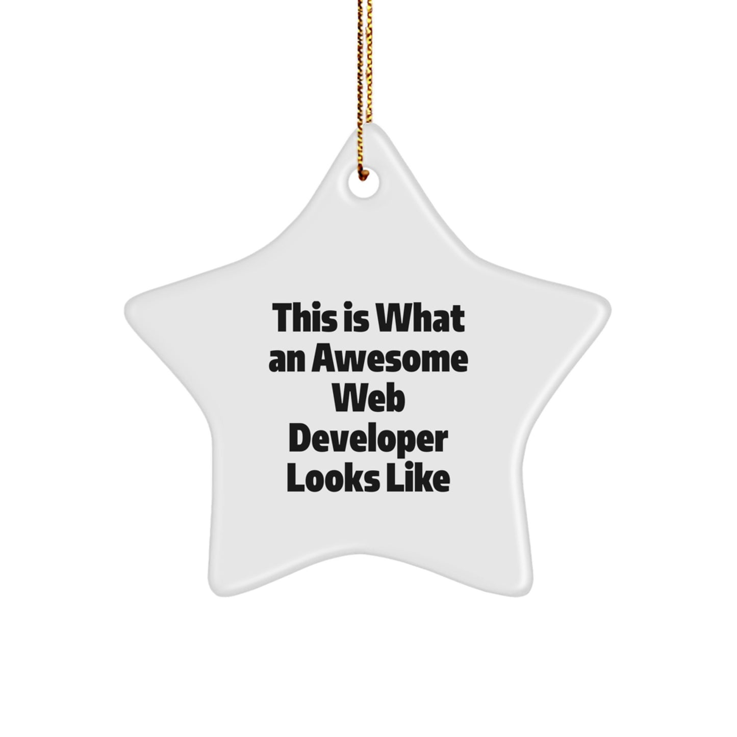 Funny Web Developer Christmas Star Ornament Gifts from Family - 'This Is What An Awesome Web Developer Looks Like' Star Shaped Decor for Web Developer Men and Women Coworkers Friends - Image 1
