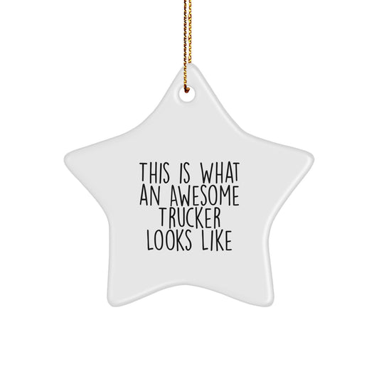 Funny Trucker Gifts from Men - This Is What An Awesome Trucker Looks Like Star Ornament for Christmas Decorations, Perfect for Trucker Friends and Family - Image 1