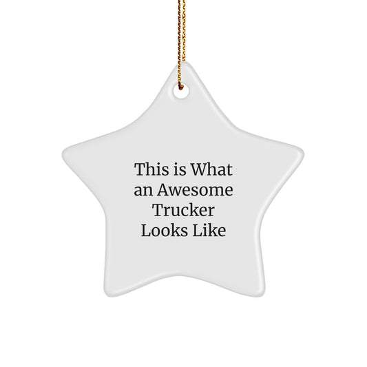 Funny Trucker Star Ornament Gifts from Men to Trucker Friends - This Is What An Awesome Trucker Looks Like Christmas Unique - Image 1