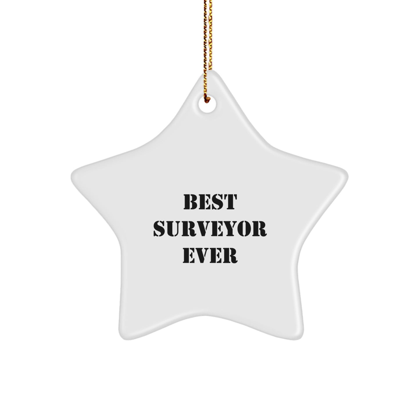 Funny 'Best Surveyor Ever' Star Ornament Gifts from Family, Friends, or Coworkers for Christmas Unique Gifts - Image 1