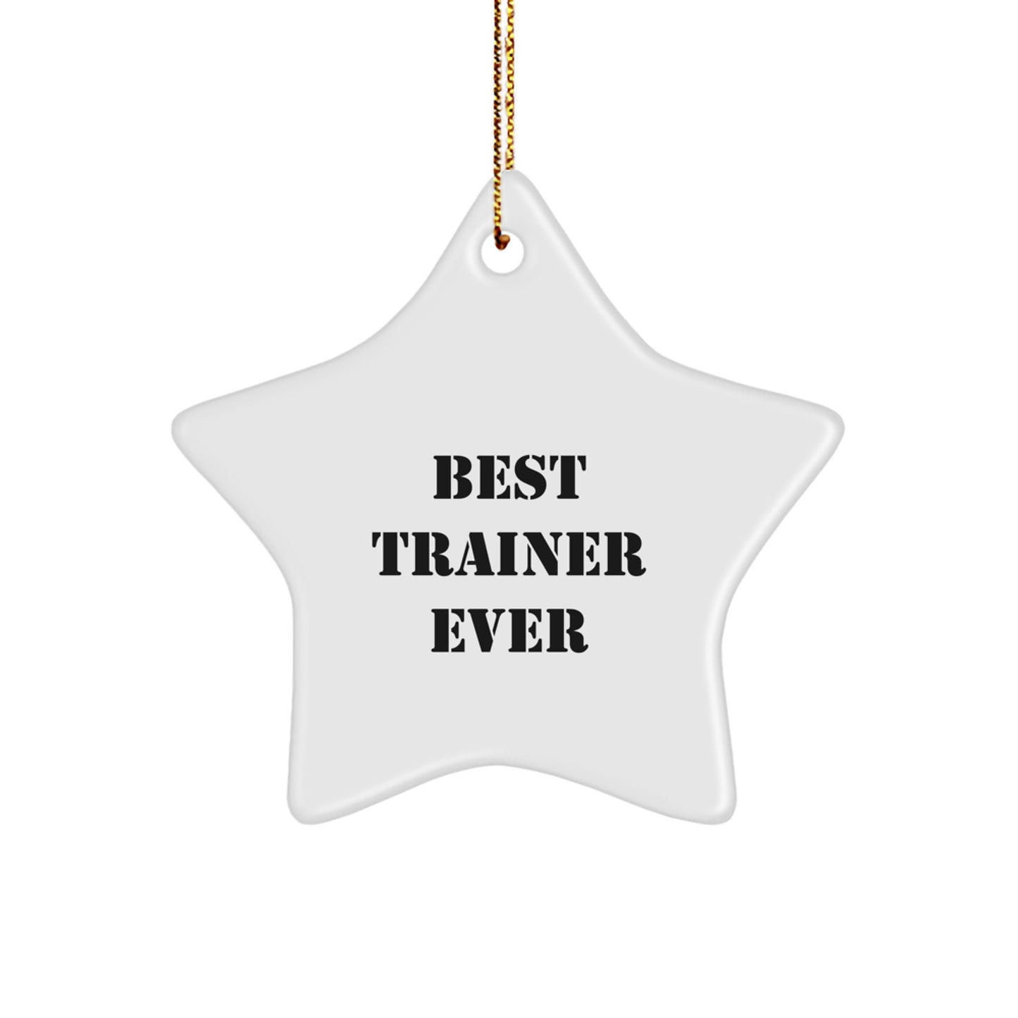 Funny Trainer Gifts for Men, Best Trainer Ever Star Ornament, Christmas Unique - Image 1