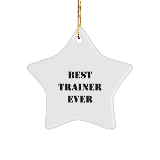 Funny Trainer Gifts for Men, Best Trainer Ever Star Ornament, Christmas Unique - Image 1