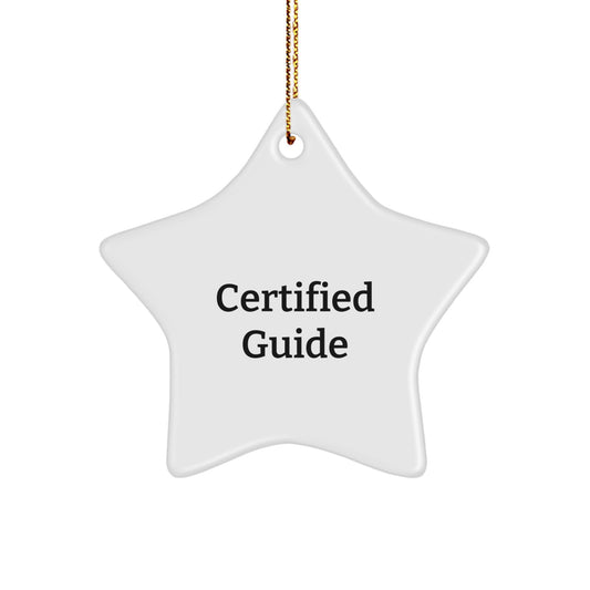 Christmas Guide Star Ornament Gift for Guide Lovers Friends and Family with Funny Quote - Gifts from Men Women Friends Coworkers to Guide Enthusiasts - Image 1