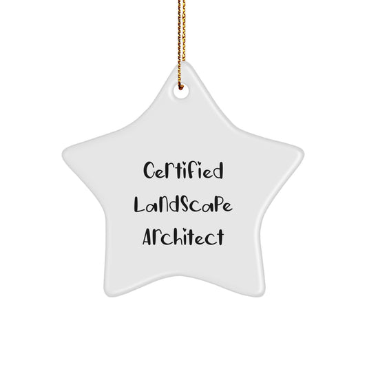 Funny Certified Landscape Architect Gifts, Star Ornament, Christmas Unique Gifts from Friends, Landscape Architect, 'You're a Star!' Quote - Image 1