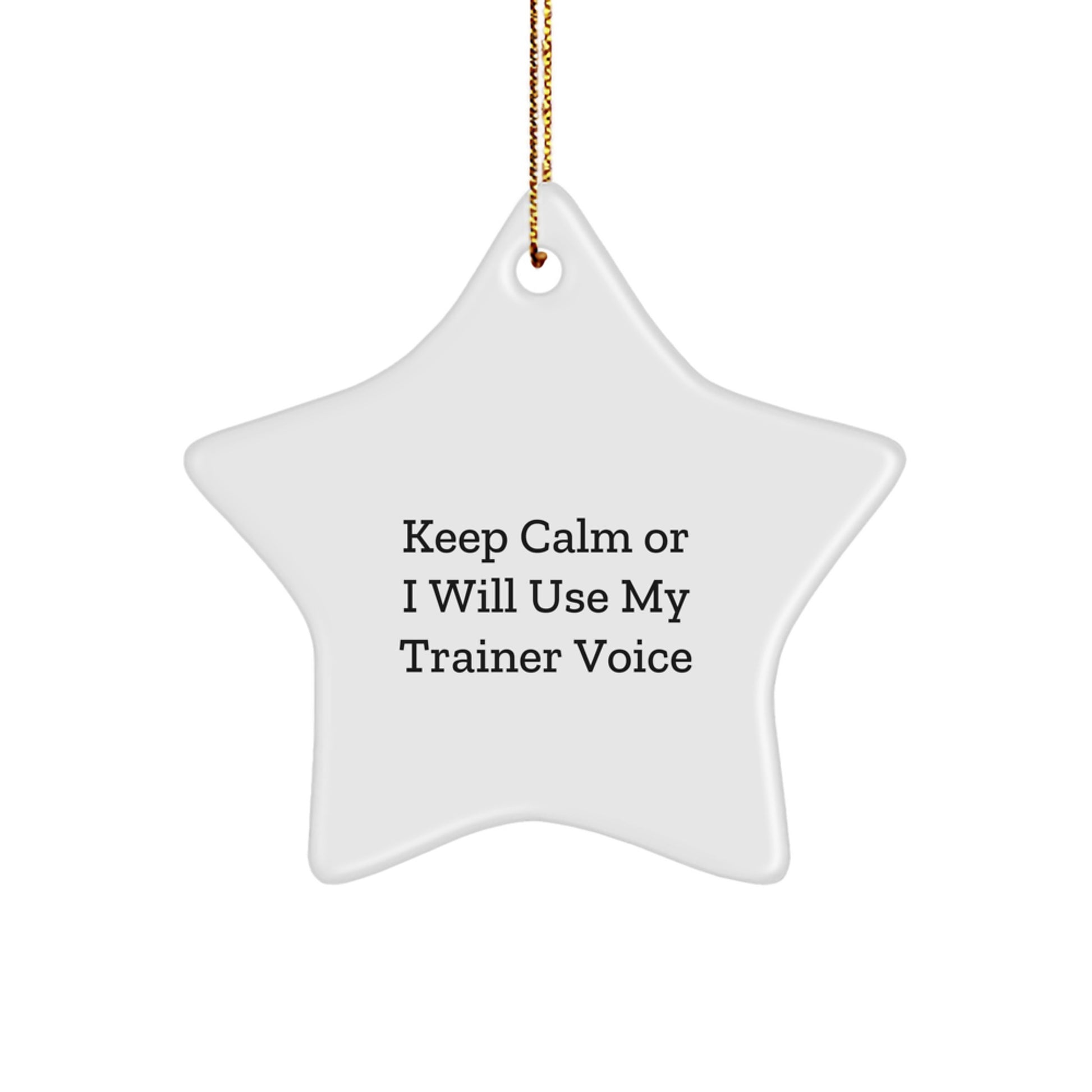 Funny Trainer Gifts for Men and Women - Keep Calm or I Will Use My Trainer Voice Star Ornament, Christmas Unique Gift Ideas from Friends, Coworkers, or Family - Image 1