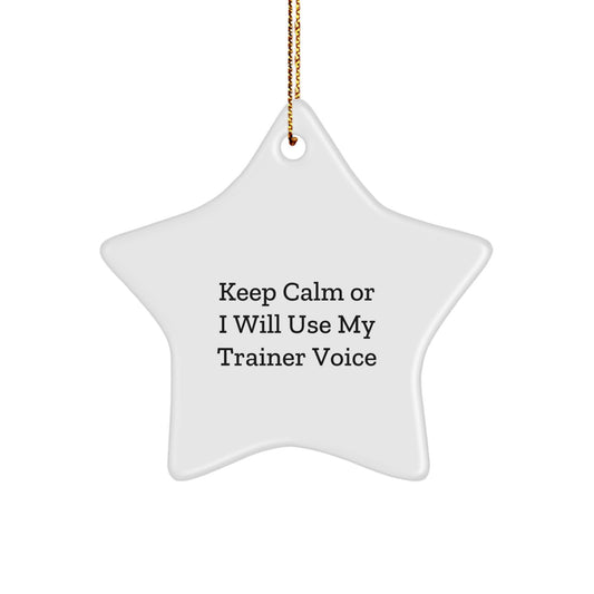 Funny Trainer Gifts for Men and Women - Keep Calm or I Will Use My Trainer Voice Star Ornament, Christmas Unique Gift Ideas from Friends, Coworkers, or Family - Image 1