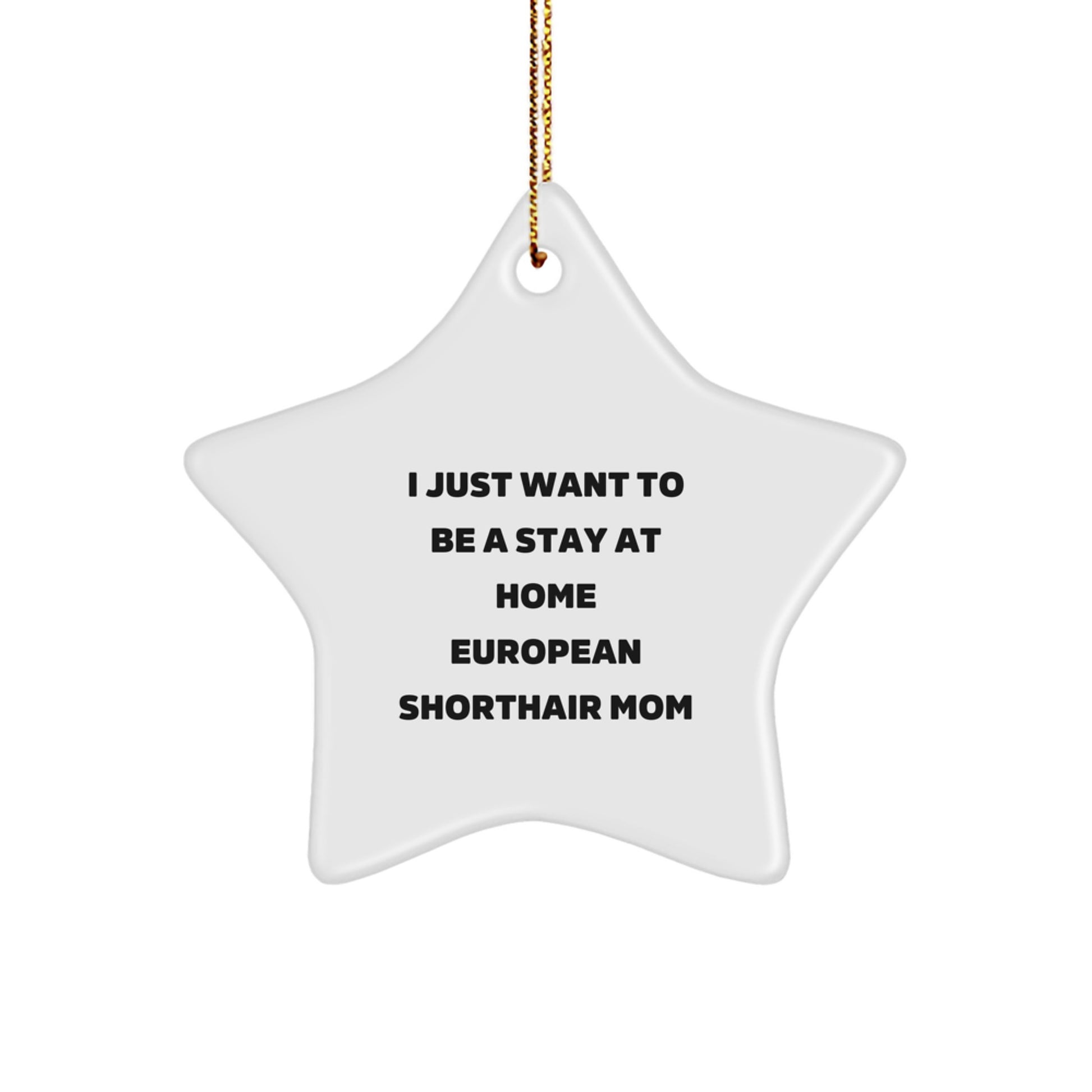 European Shorthair Cat Funny Quote Gifts for European Shorthair Cat Lovers - Star Ornament Gifts from Family for Christmas Unique Gifts - Image 1