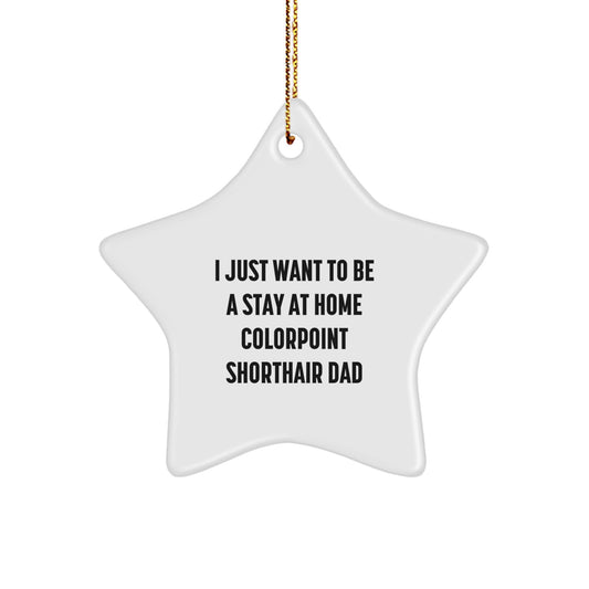 Colorpoint Shorthair Cat Dad's Funny Christmas Unique Gift, 'I Just Want To Be A Stay At Home' Star Ornament for Friends, Family, Coworkers, Gifts from Colorpoint Shorthair Cat Lovers - Image 1