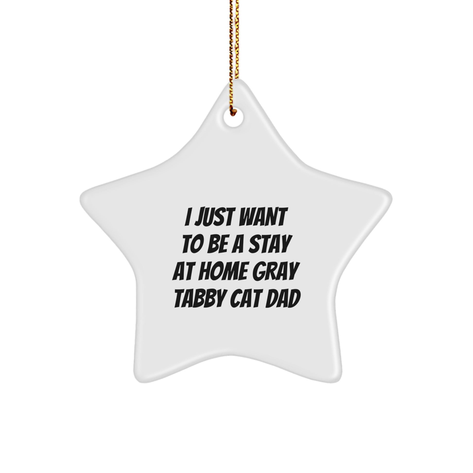 Funny Gray Tabby Cat Dad Quote Star Ornament Gifts for Him from Loved Ones, Unique Christmas Memorable Present for Home Decor - Image 1