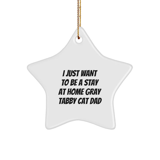 Funny Gray Tabby Cat Dad Quote Star Ornament Gifts for Him from Loved Ones, Unique Christmas Memorable Present for Home Decor - Image 1