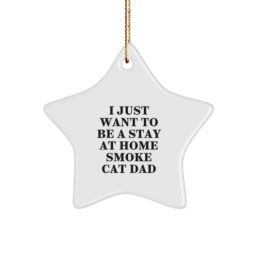 Funny Smoke Cat Gifts from Dad for Christmas Star Ornament, I Just Want To Be A Stay At Home Smoke Cat Dad - Image 1