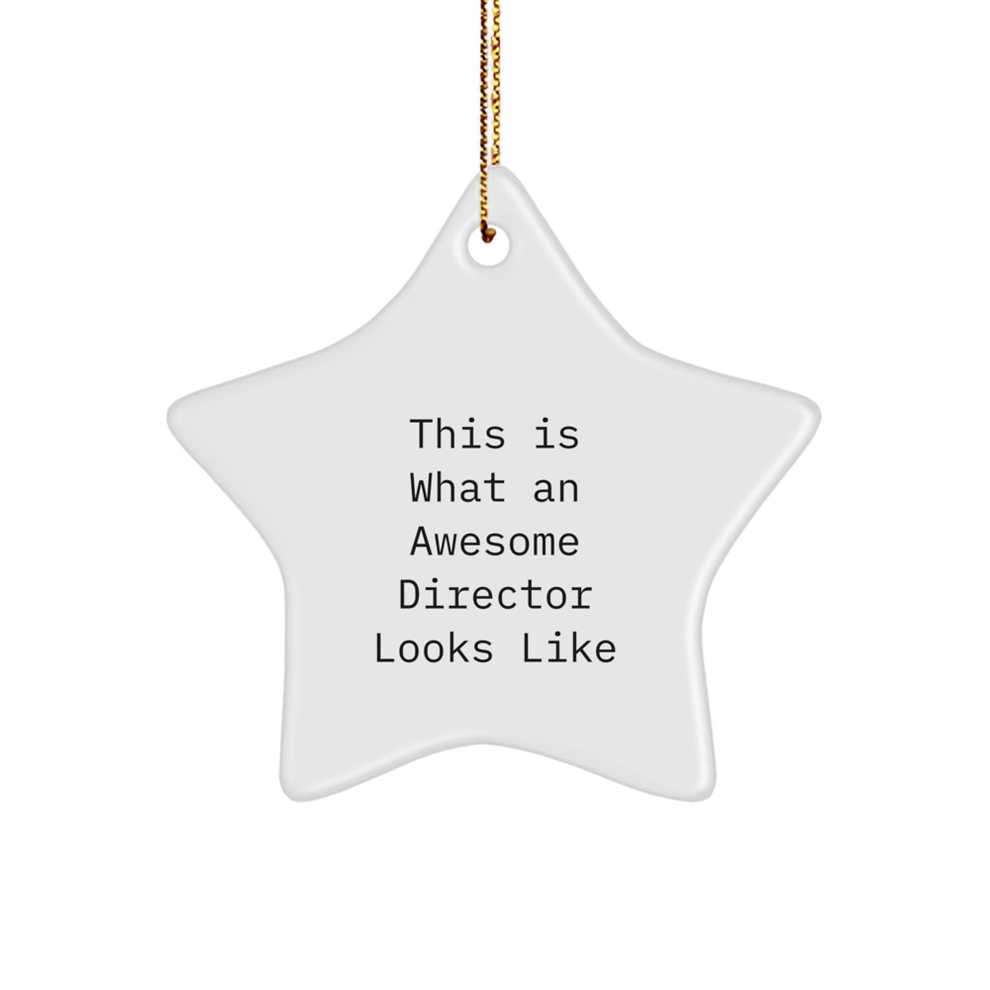 Funny Director Christmas Unique Gifts from Friends and Family - Star Ornament This Is What An Awesome Director Looks Like - Image 1