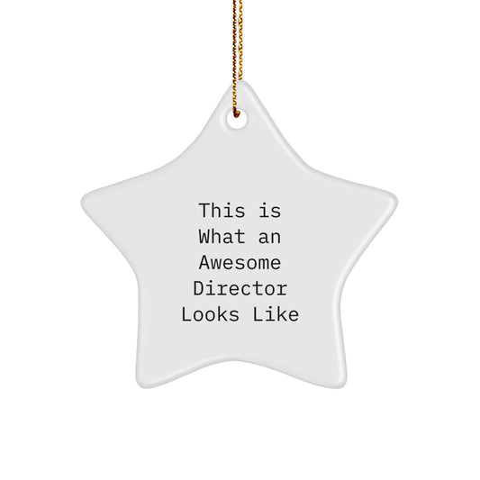 Funny Director Christmas Unique Gifts from Friends and Family - Star Ornament This Is What An Awesome Director Looks Like - Image 1