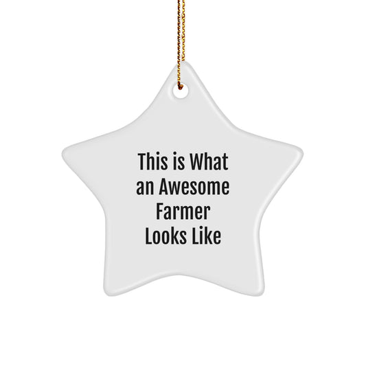 Funny Farmer Gifts from Friends - This Is What An Awesome Farmer Looks Like - Christmas Unique Gifts for Farmer - Image 1