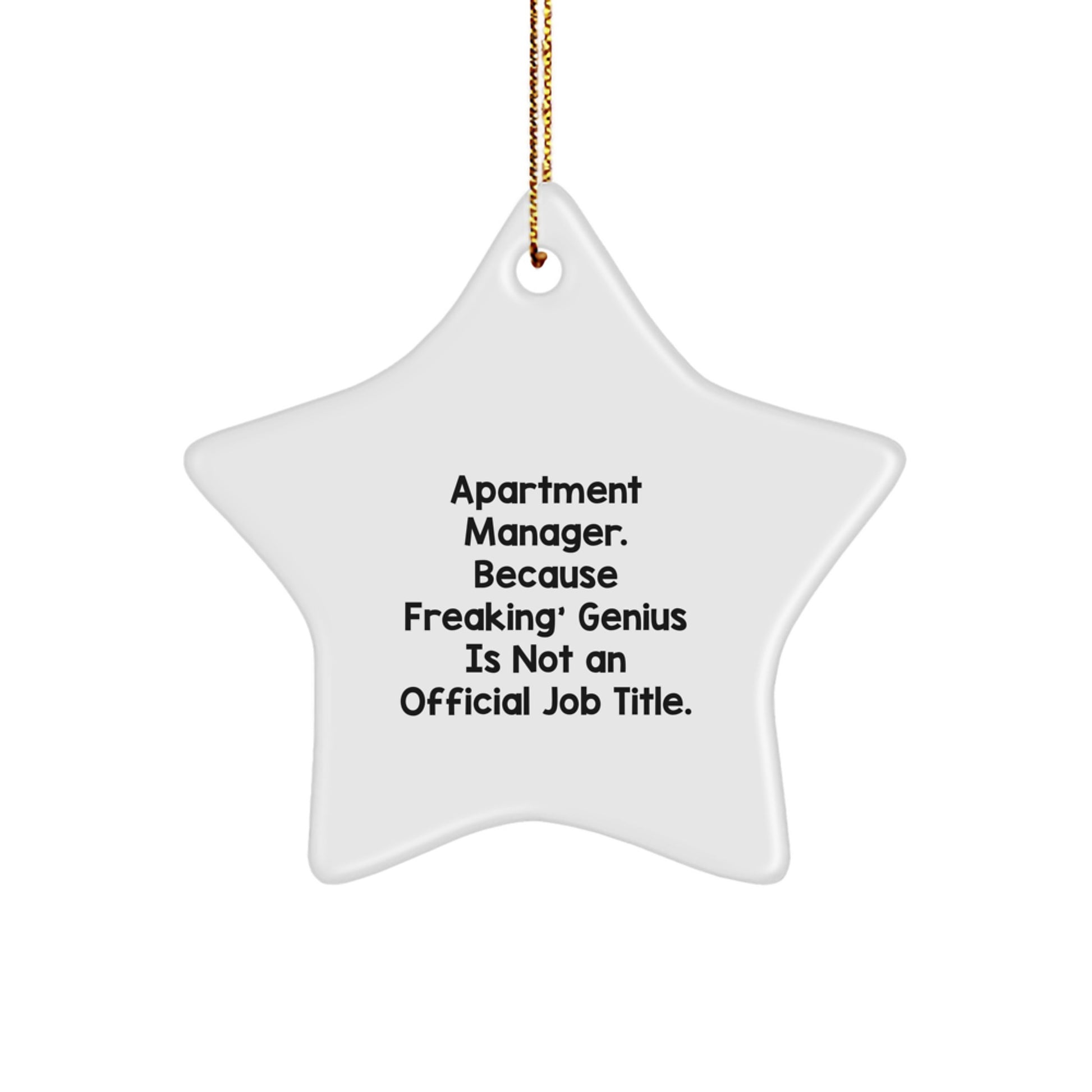Funny Apartment Manager Gifts, Star Ornament for Christmas, Gifts from Friends to Apartment Manager, Unique Inspirational Quote, Lightweight Star-Shaped Decoration - Image 1