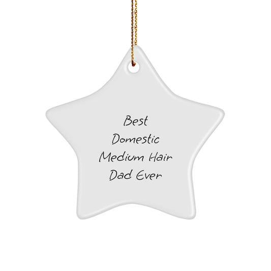Funny Domestic Medium Hair Cat Gifts, Star Ornament with Best Dad Quote, Christmas Decorations from Family - Image 1
