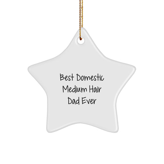 Funny Domestic Medium Hair Cat Gifts, Star Ornament for Dad, Best Domestic Medium Hair Dad Ever Quote, Christmas Unique Gifts from Men to Family, Unique Gift for Cat Lovers - Image 1