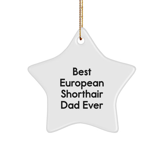 Unique European Shorthair Cat Gifts from Friends - Best Dad Ever Star Ornament for Christmas - Image 1