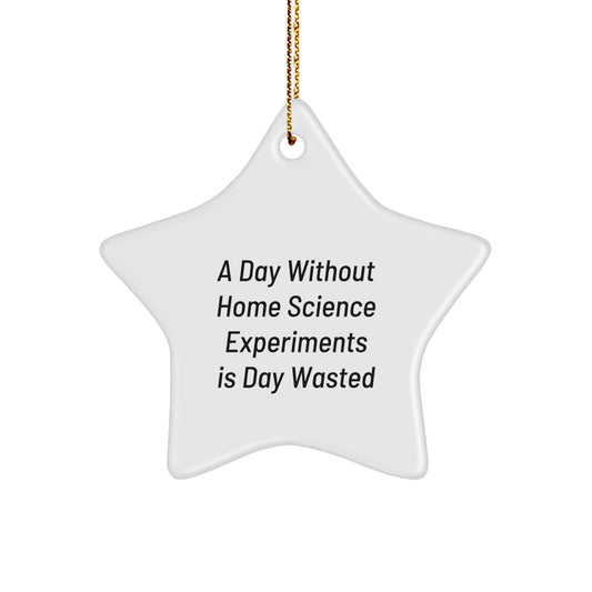 Home Science Experiments Gifts from Friends to Family, Star Ornament for Christmas Unique Decoration, A Day Without Home Science Experiments Is Day Wasted - Image 1