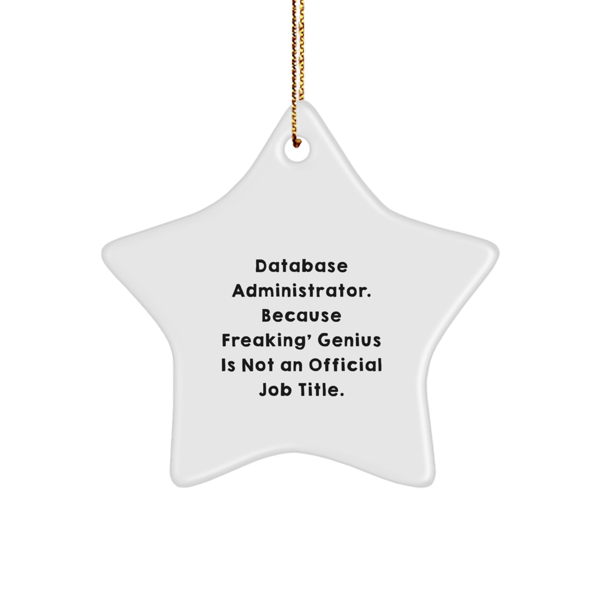 Funny Database Administrator Gifts, Star Ornament with Inspirational Quote, Perfect for Men or Women in the IT Department at Christmas - Image 1