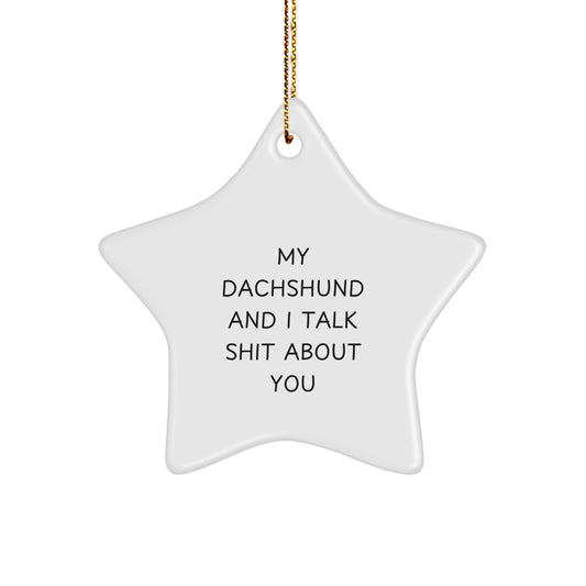 Funny Dachshund Dog Gifts for Men, Women, and Friends - Cute Star Ornament with Quote 'My Dachshund And I Talk Shit About You' - Christmas Unique Gifts from Family - Image 1
