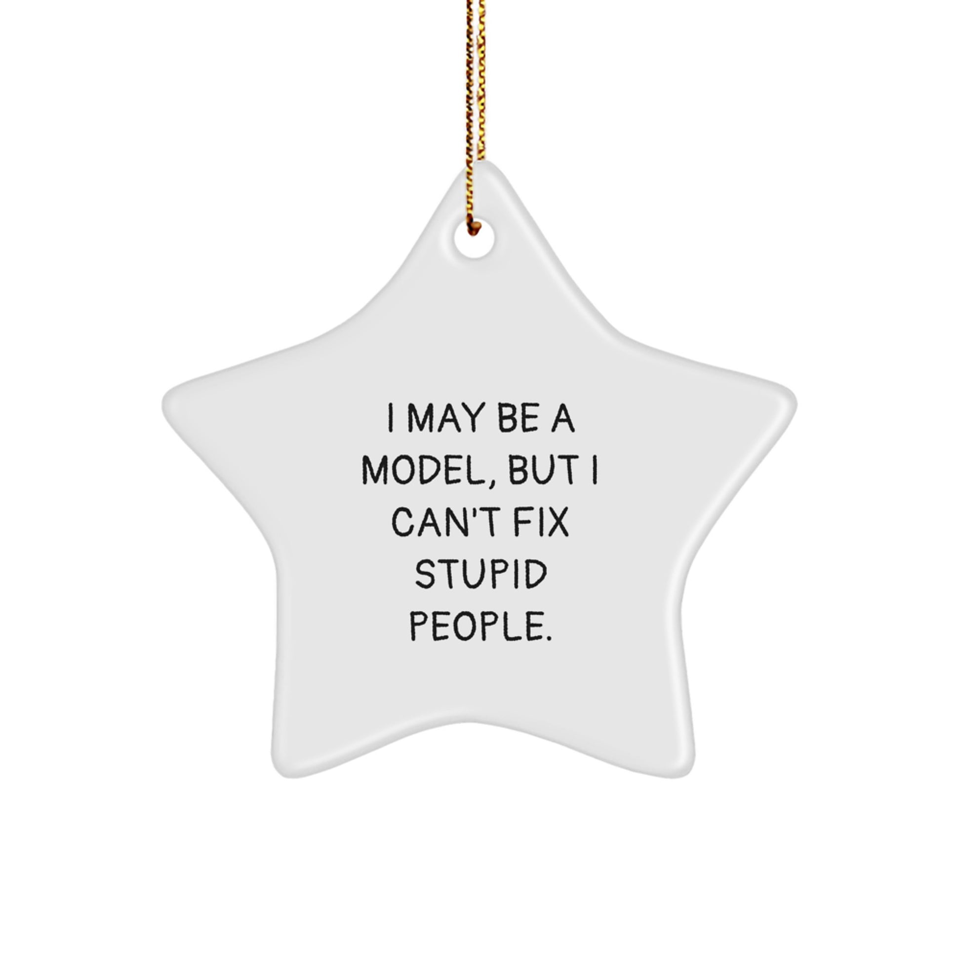 Funny Model Star Ornament Gifts for Men Women Friends Coworkers Family from I May Be A Model But I Can't Fix Stupid People. - Image 1