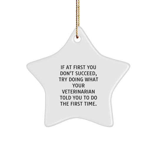 Funny Veterinarian Gifts: Star Ornament with Quote, Gifts from Friends, Gifts for Veterinarian, Christmas Unique Gifts - Image 1