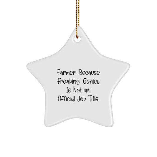 Farmer's Star Ornament, Gifts from Men, for Christmas, 'Farmer. Because Freaking' genius Is Not An Official Job Title.', White Star Shaped Decorations - Image 1