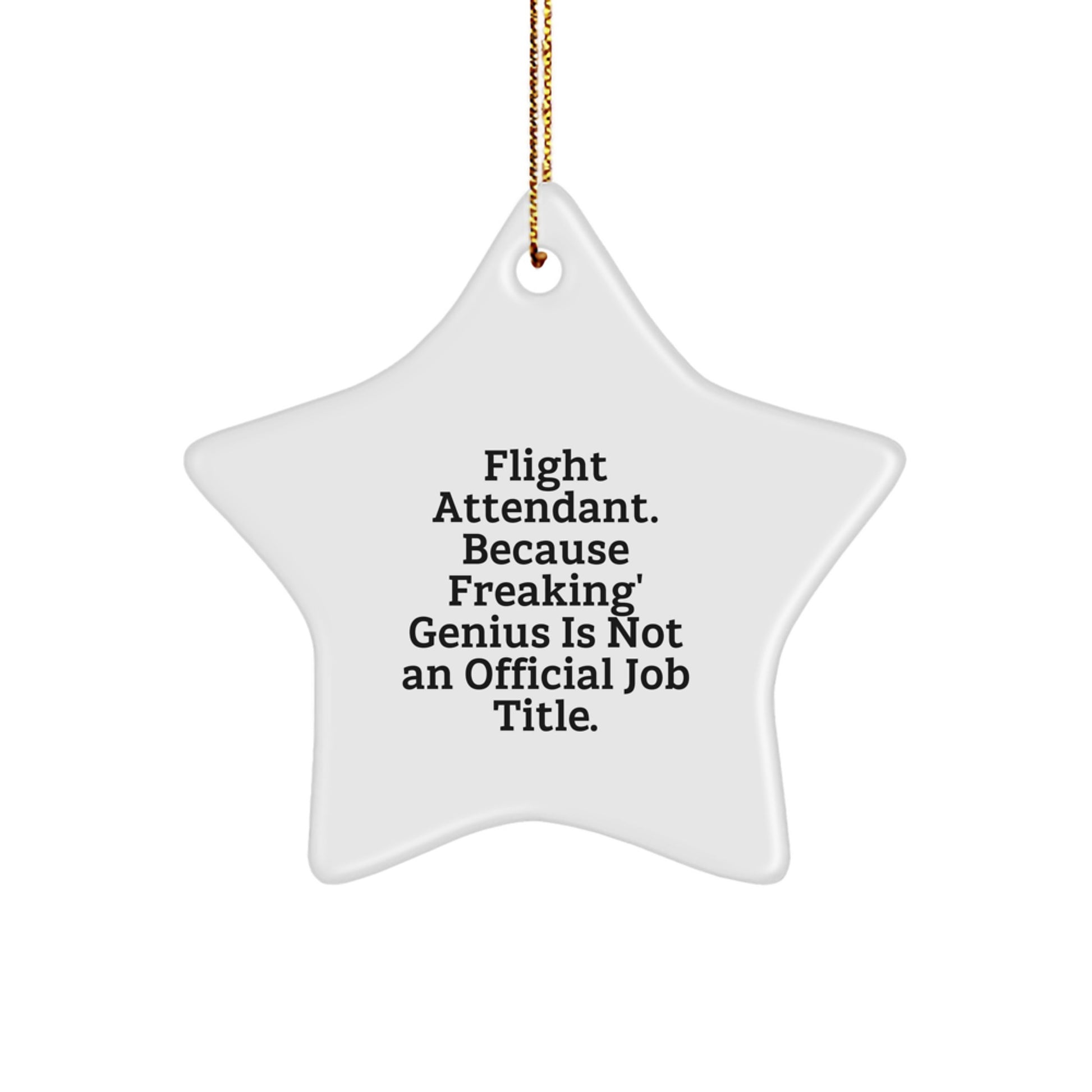 Flight Attendant Gifts from Friends, Inspirational Star Ornament for Christmas Unique Gifts for Flight Attendant Men, Funny Quote - Image 1
