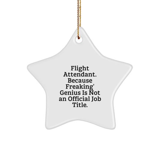 Flight Attendant Gifts from Friends, Inspirational Star Ornament for Christmas Unique Gifts for Flight Attendant Men, Funny Quote - Image 1