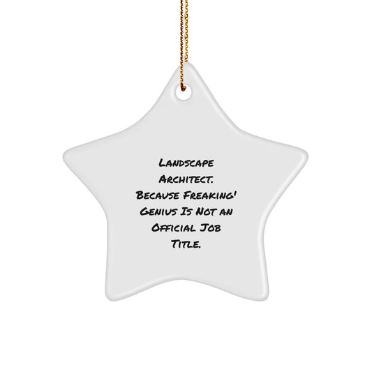Funny Landscape Architect Star Ornament Gifts from Friends for Christmas, genius Quote Star Decoration for Home or Office, Star Shaped Ornament with Gold Cord - Image 1