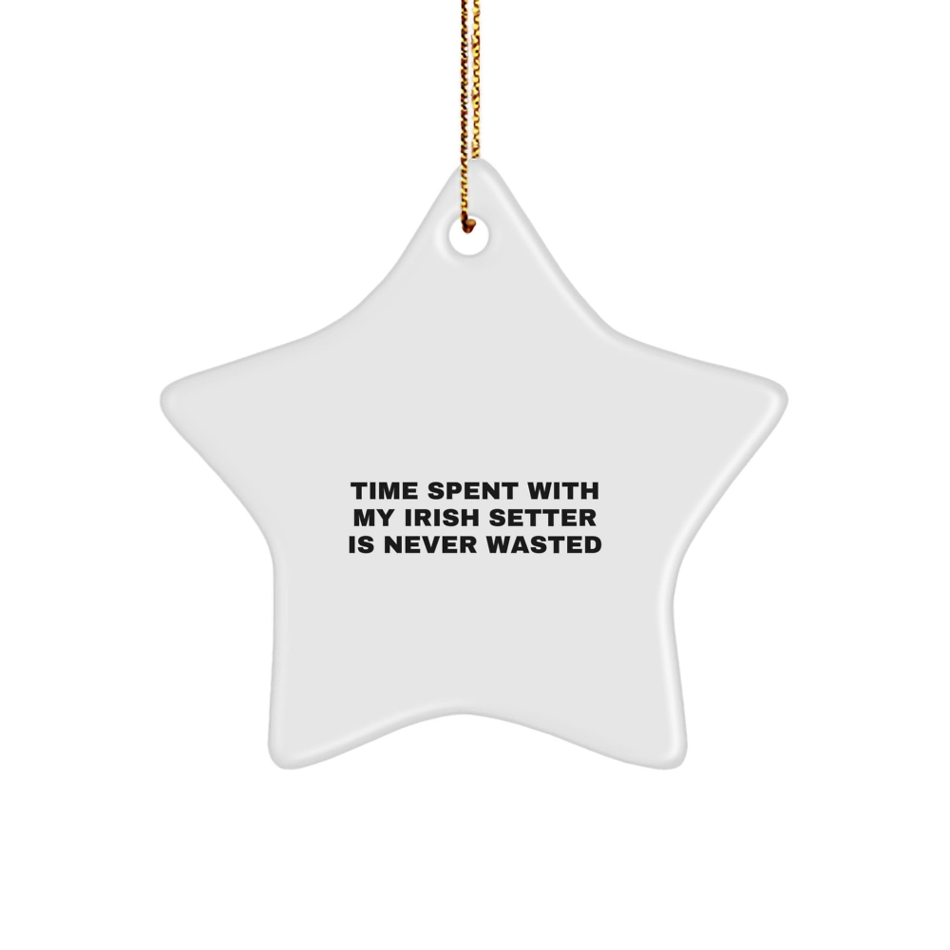 Irish Setter Dog Star Ornament Gifts from Family for Christmas - Time Spent With My Irish Setter Is Never Wasted - Image 1