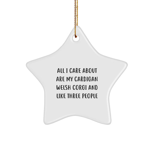 Funny Cardigan Welsh Corgi Dog Lover Gifts from Family - Christmas Unique Star Ornament - Image 1