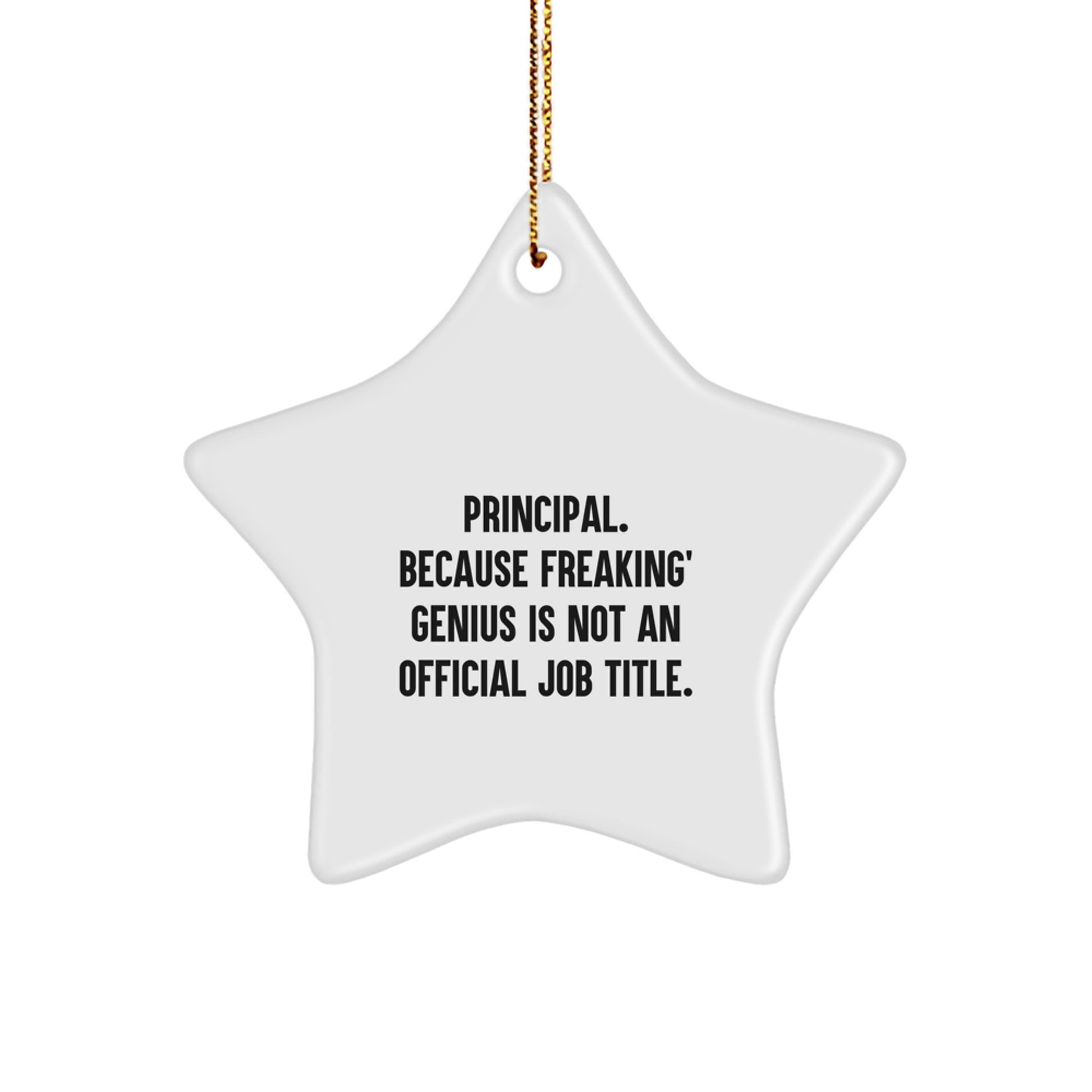 Gifts from Men to Principal - genius Star Ornament, Funny Quote - White Star Shaped, Perfect for Christmas Unique Gifts - Image 1