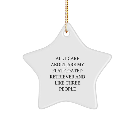 Flat Coated Retriever Dog Lovers Gifts from Family - 'All I Care About Are My Flat Coated Retriever And Like Three People' Funny Star Ornament for Christmas - Image 1