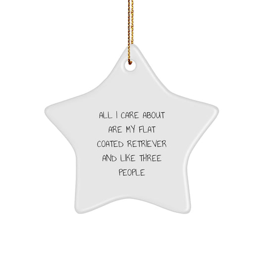 Funny Flat Coated Retriever Dog Gifts, Star Ornament, 'All I Care About Are My Flat Coated Retriever And Like Three People' Quote, Christmas Unique Gifts from Friends, Family, or Coworkers - Image 1
