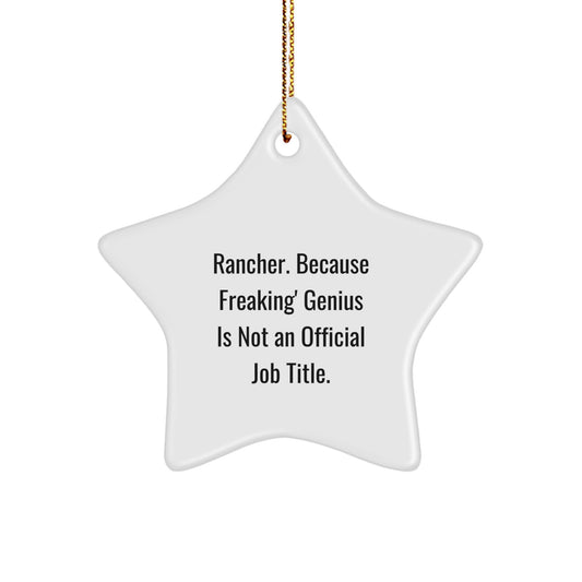 Funny Rancher Gifts from Friends - Star Ornament for Christmas Unique Presents for Men - Rancher Star Decoration - Image 1