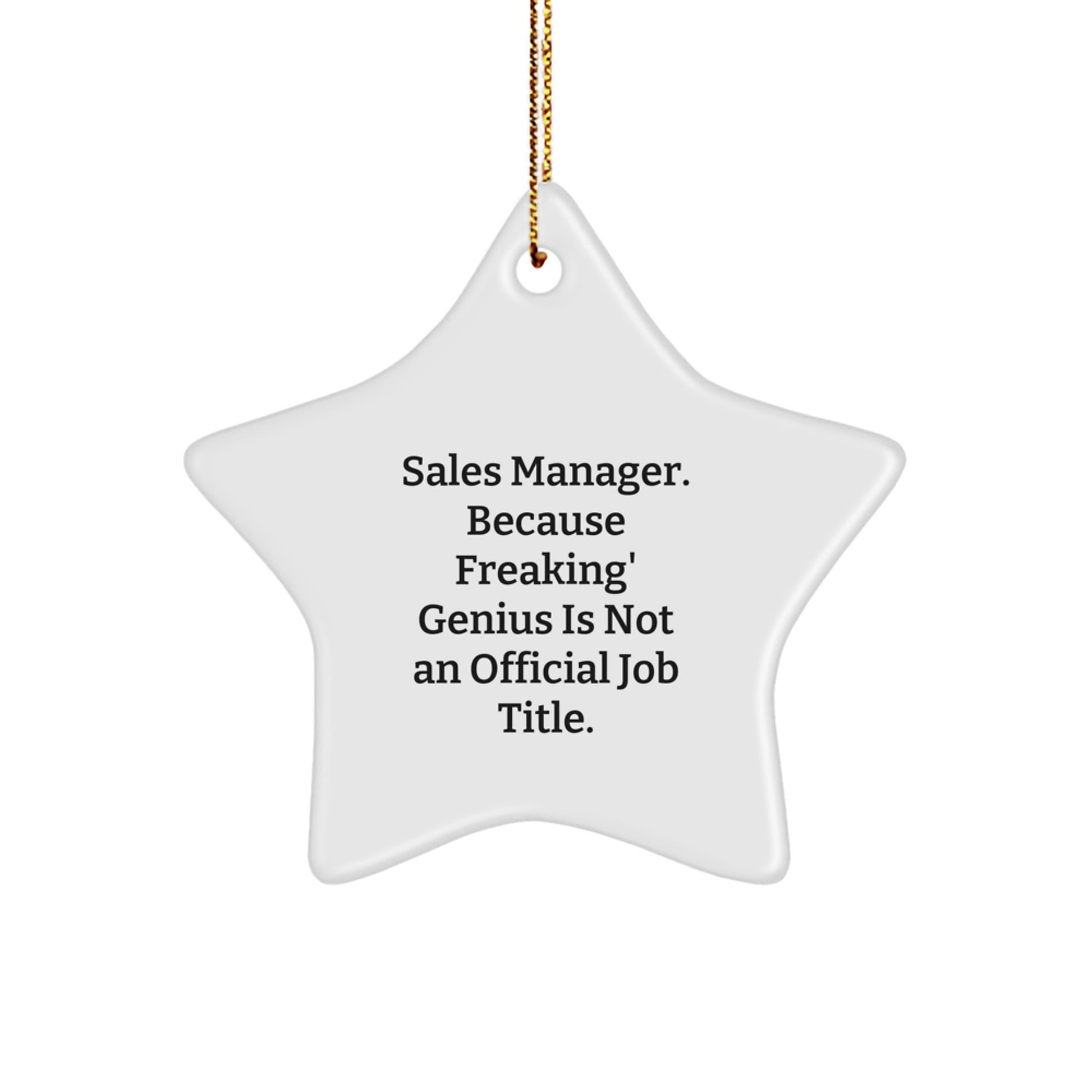 Funny Sales Manager Gifts, Star Ornament with Inspirational Quote, Gifts for Men or Women - Gifts from Friends to Coworkers or Family at Christmas - Image 1