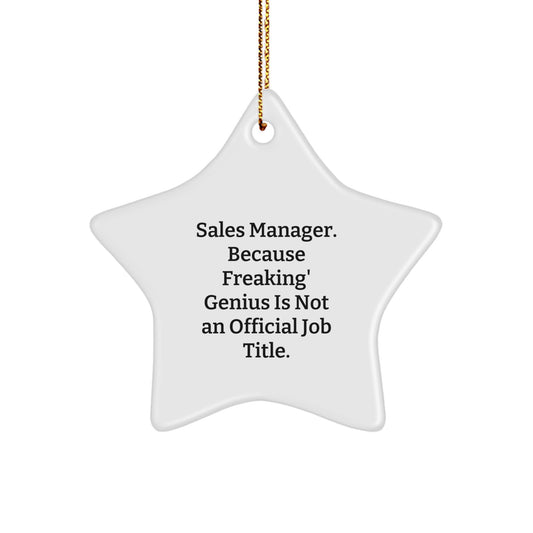 Funny Sales Manager Gifts, Star Ornament with Inspirational Quote, Gifts for Men or Women - Gifts from Friends to Coworkers or Family at Christmas - Image 1