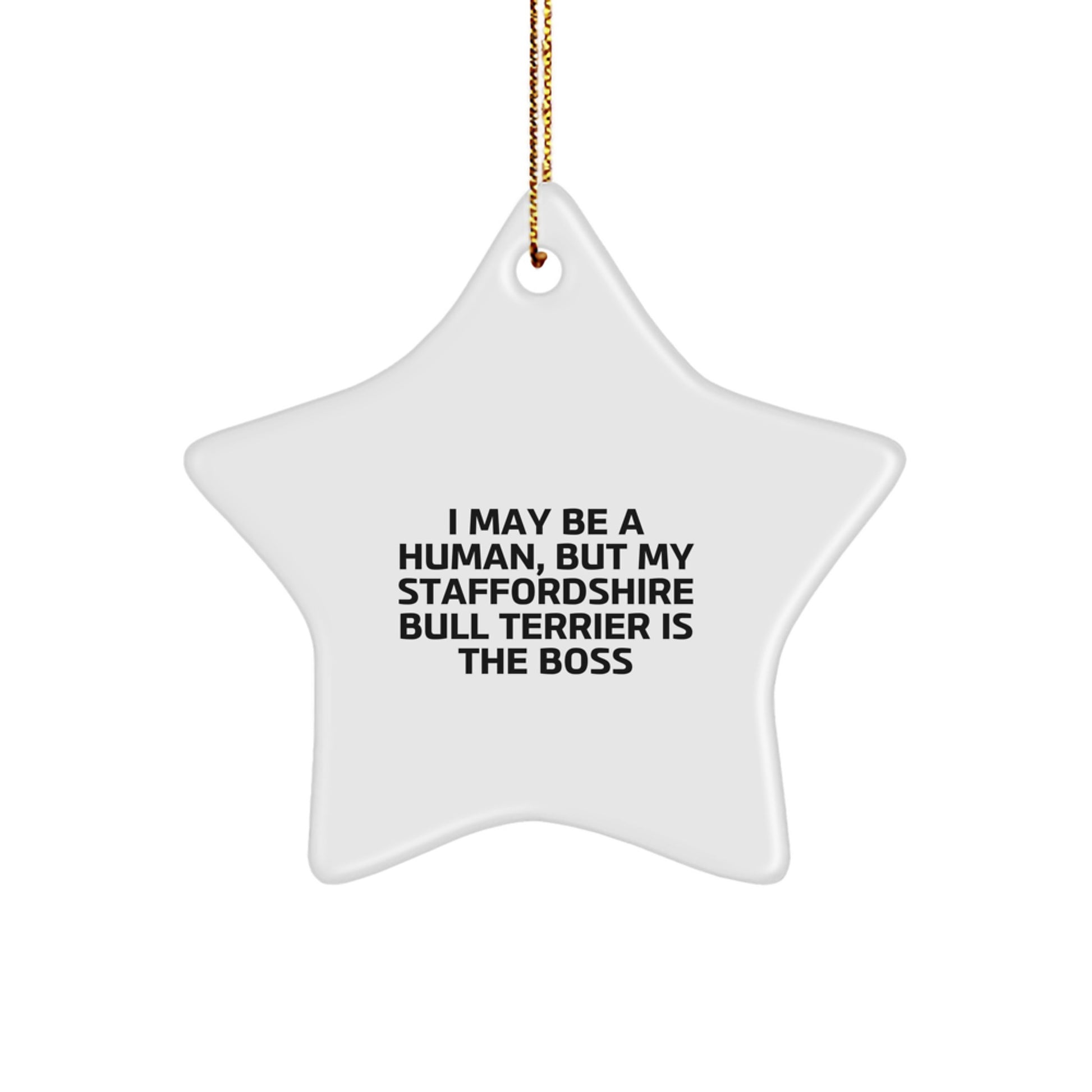 Funny Staffordshire Bull Terrier Gifts for Men from Women - I May Be A Human, Star Ornament, Christmas Unique Decorations - Image 1