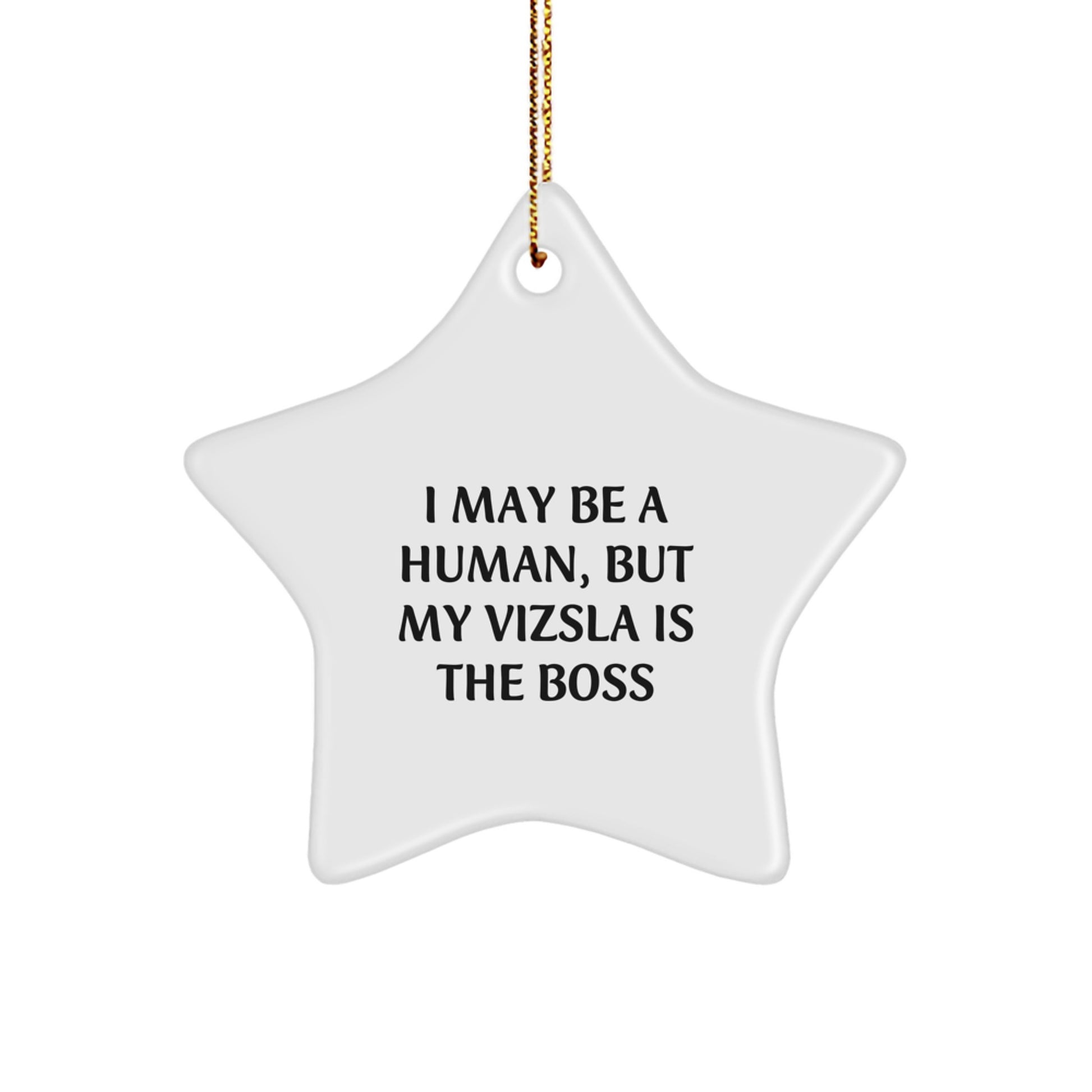 Funny Vizsla Dog Gifts for Women, Star Ornament by I May Be A Human, But My Vizsla Is The Boss, Christmas Unique Gifts from Men - Image 1